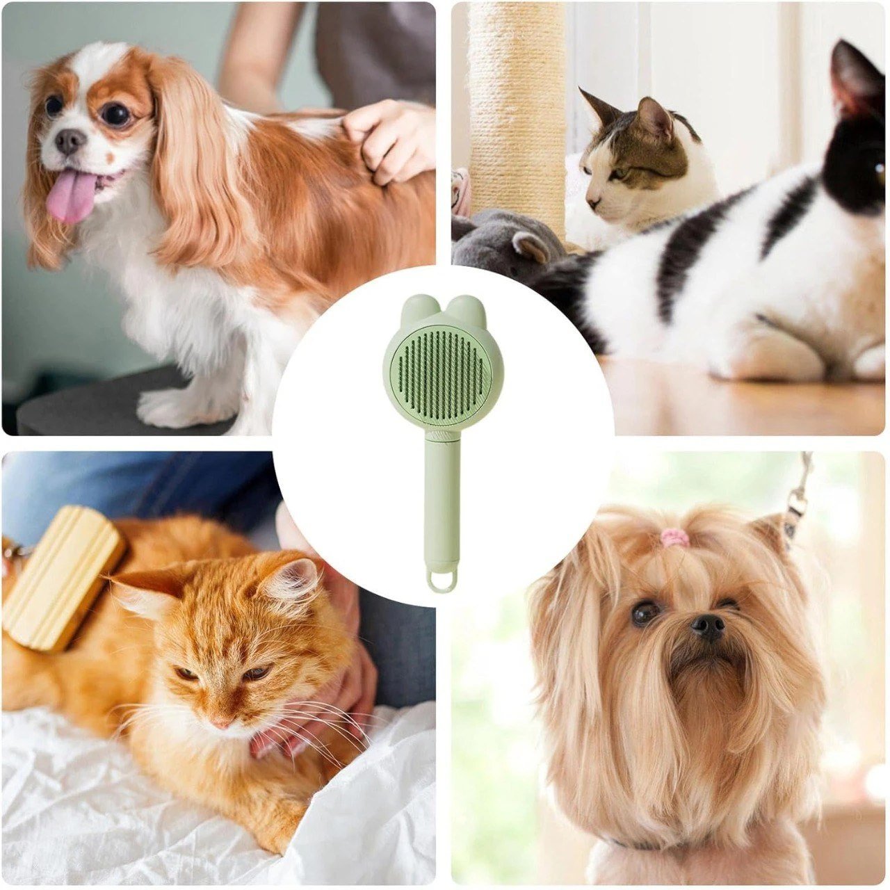 Cat Hair Comb – Pet Grooming & Fur Cleaning Brush - Image 2
